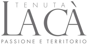 logo  la ca ok